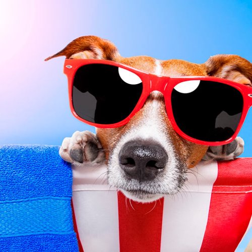 Готелі з тваринами в Болгарії