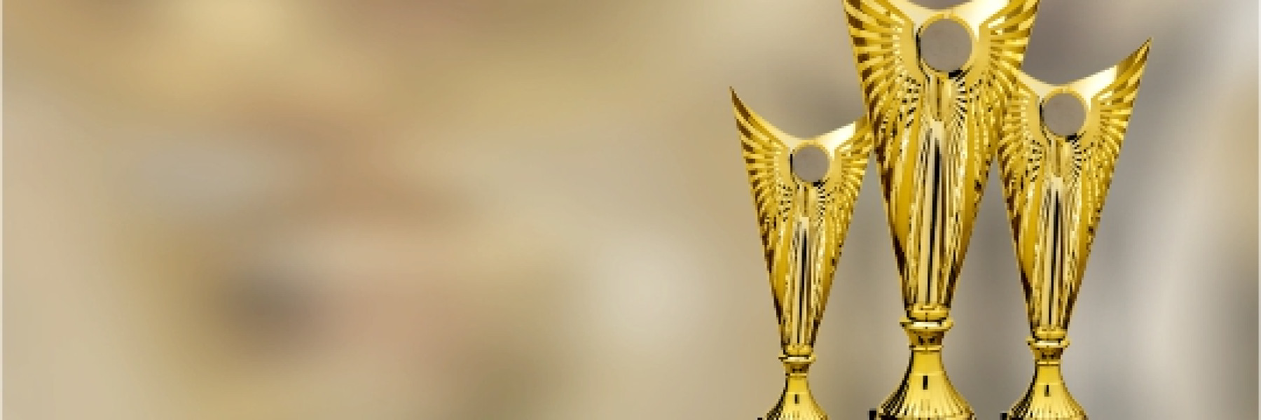 Дипломи и награди